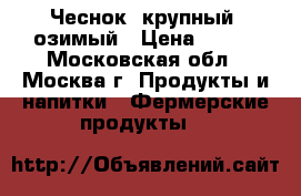 Чеснок, крупный, озимый › Цена ­ 250 - Московская обл., Москва г. Продукты и напитки » Фермерские продукты   